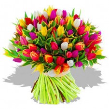 Two Fresh Assorted Tulips in a Bouquet