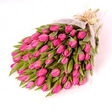 Three Dozen Pink Tulips in a Bouquet