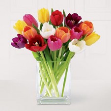 One Dozen Assorted Tulips in a Vase