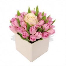 Fresh Pink Dozen Tulips & Peach Rose in a Vase