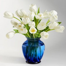 Two Dozen White Tulips in a Vase