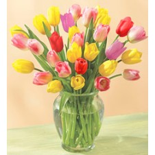 Three Dozen Assorted Tulips in a Vase