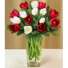 16pcs Mixed Red & White Tulips in a Vase