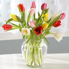 15pcs Mixed Color Tulips Tulips in a Vase