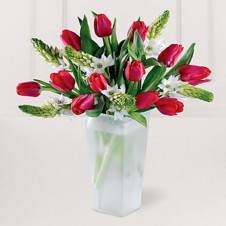 One Dozen Red Tulips Mixed w/ Seasonal Flowers in a Vase