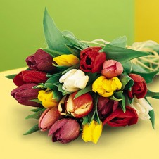 Tulip Bouquet Contains a Mix of the Season's Best Colors