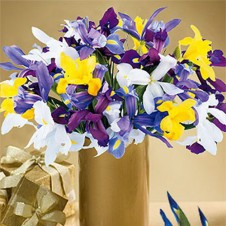 Mixed Iris Flowers in a Vase