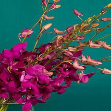 Purple Orchids in a Bouquet