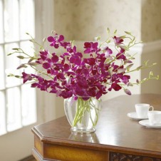 Purple Orchids in a Vase
