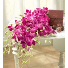 Two Dozen Purple Orchids