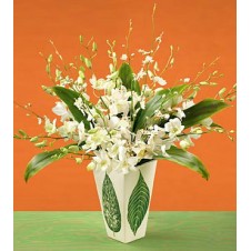 White Orchids in a Vase