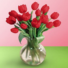 Love Tulips in a Bouquet