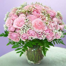 Soft Pink in a Vase