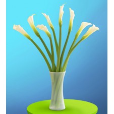 Elegant Calla Lilies in a Vase