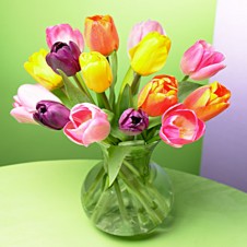 Greets Tulips in a Vase