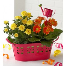Basket Of Fresh Blooms