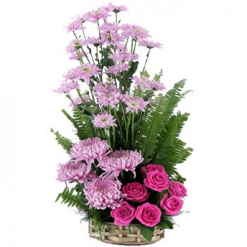 Pink Roses Chrysanthemums Malaysian