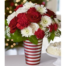 Red and White Flowers in a Vase