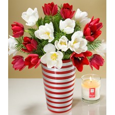 Red and White Tulips in a Vase