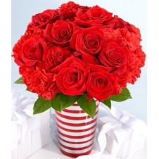 Red Roses and Red Carnations in a Vase