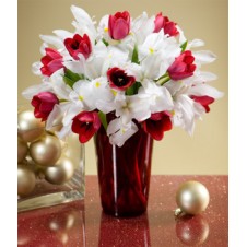 Flowers Contains Red Tulips with White Iris