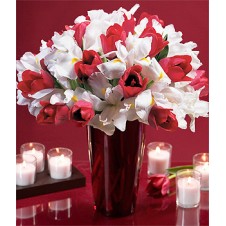 Fresh Red Tulips and White Iris in a Vase