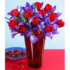 Red Tulips and Purple Iris in a Vase