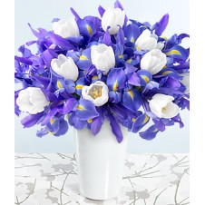 Purple Iris with White Tulips in a Vase