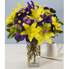 Purple & Yellow Flowers