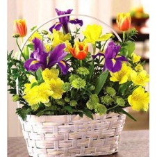 Fresh Mixed Cut Flowers Arrangement in Basket