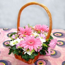 Pink, White Gerbera and Greenery in a Basket