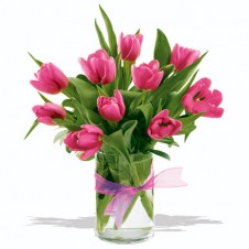 Special Tulips in a Vase