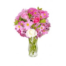 Fresh Pink Flowers in a Vase