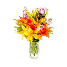 One Dozen Assorted Colors of Lilies
