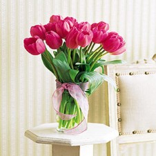 Passion Tulips in a Vase