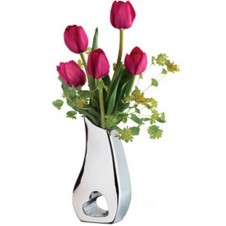Unique Tulips in a Vase