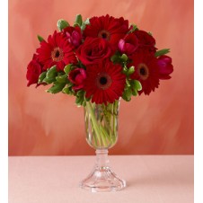Fresh Mixed Red Flowers in a Vase