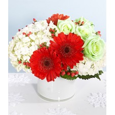 White Roses, Red Gerbera with Hydrengea