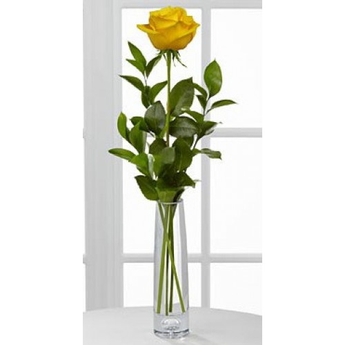 Single Holland Yellow Rose In A Vase