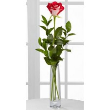 Single Holland Two Tone Rose Bouquet