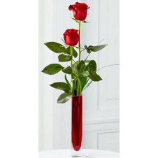 2 stems Holland Red Roses Bouquet