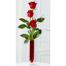 3 stems Holland Red Roses Vase
