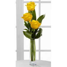 3 stems Holland Yellow Roses Vase