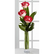 3 stems Holland Two Tone Roses Vase