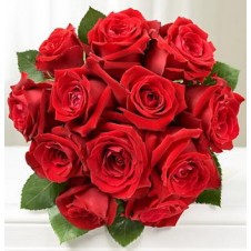 12pcs Imported Red Holland Roses in a Buoquet