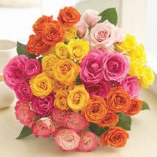 3 dozen Assorted Colored Holland Roses Bouquet