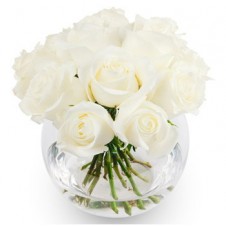 White Holland Roses in a Globe Vase