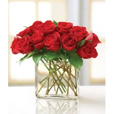 Red Holland Roses in a Thin Vase