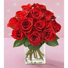Red Holland Roses in a Square Vase