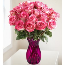 Three Dozen Two Tone Pink Holland Roses in a Vase